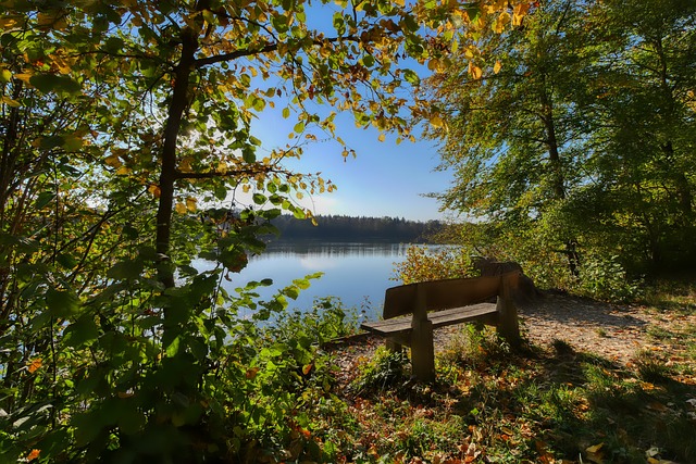 发展的积极 发展的积极