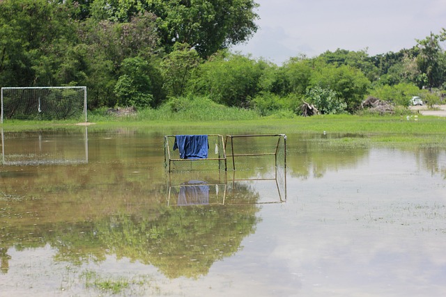 穆谢奎首秀 穆谢奎首秀