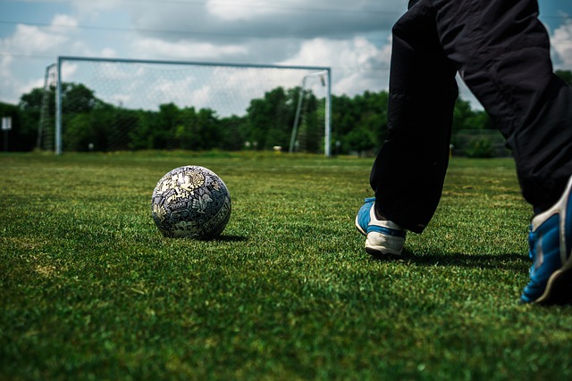 球迷们期待 球迷们期待